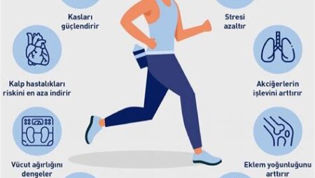 Spor ve Sağlık, Düzenli Egzersizin Faydaları